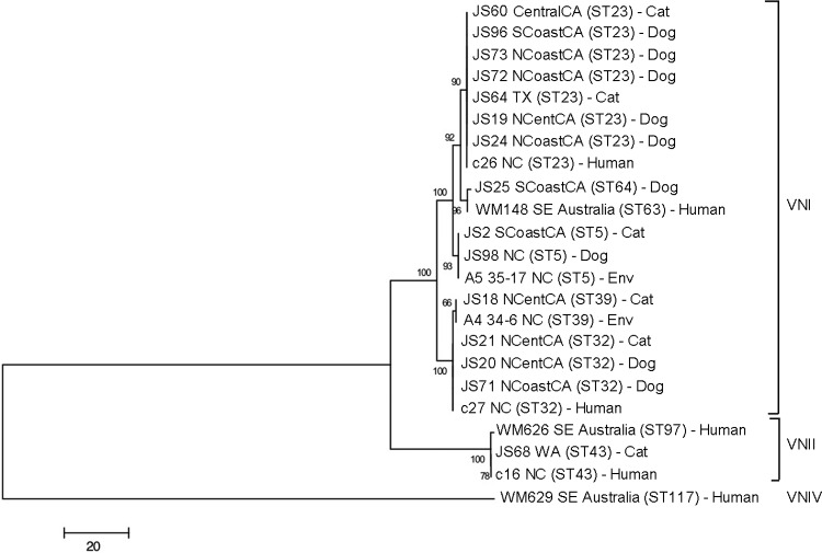 FIG 2