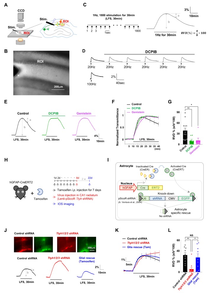 Fig. 11