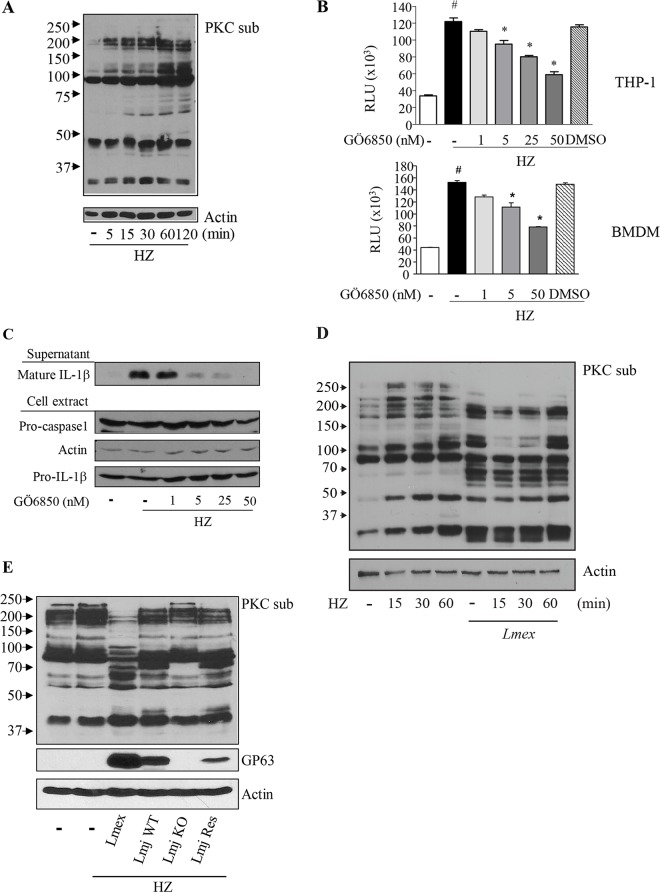 Fig 4