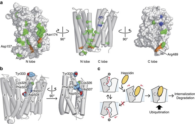 Figure 7