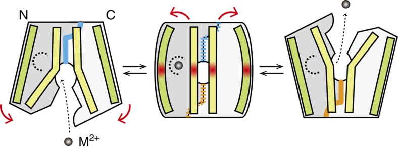 Figure 6