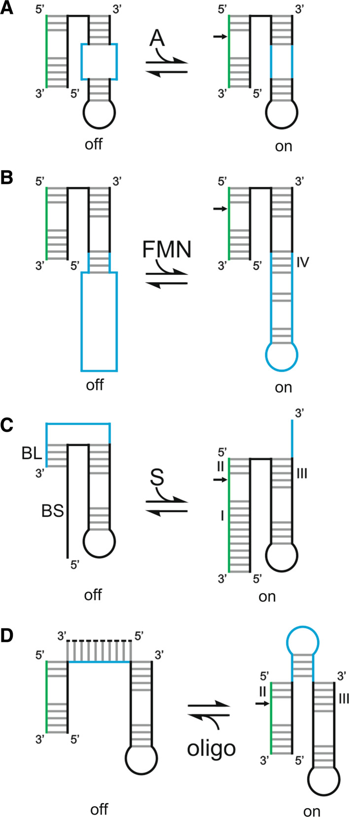 Fig. 6