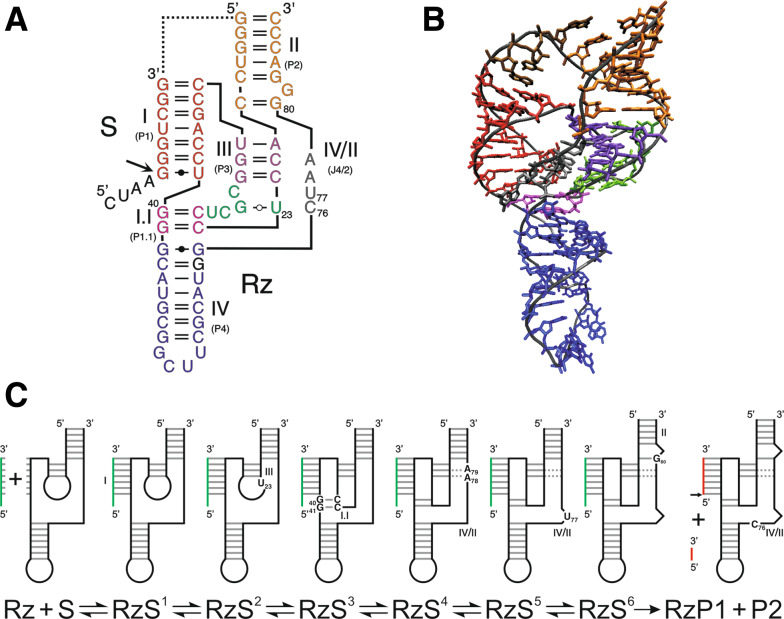 Fig. 1