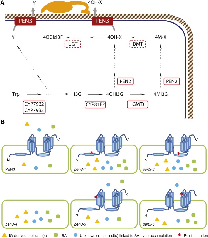 Figure 7.