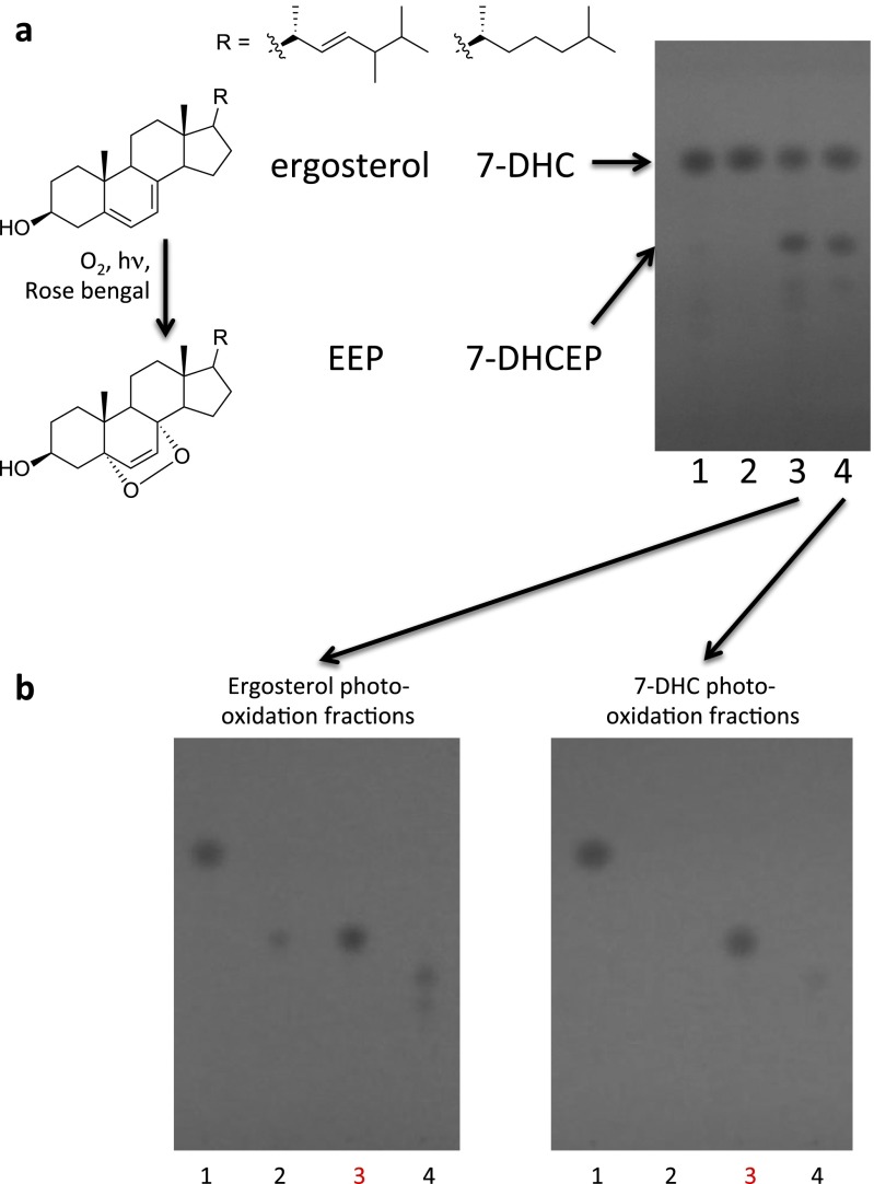 Fig. S3.