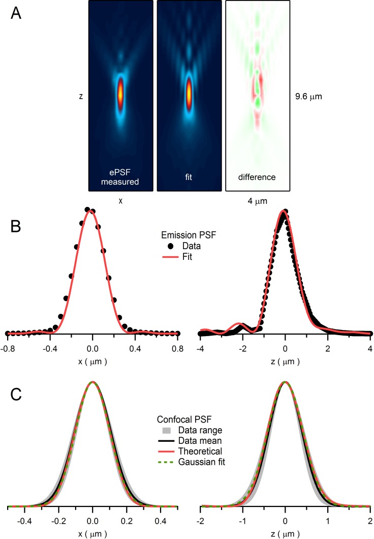 Figure 3—figure supplement 2.