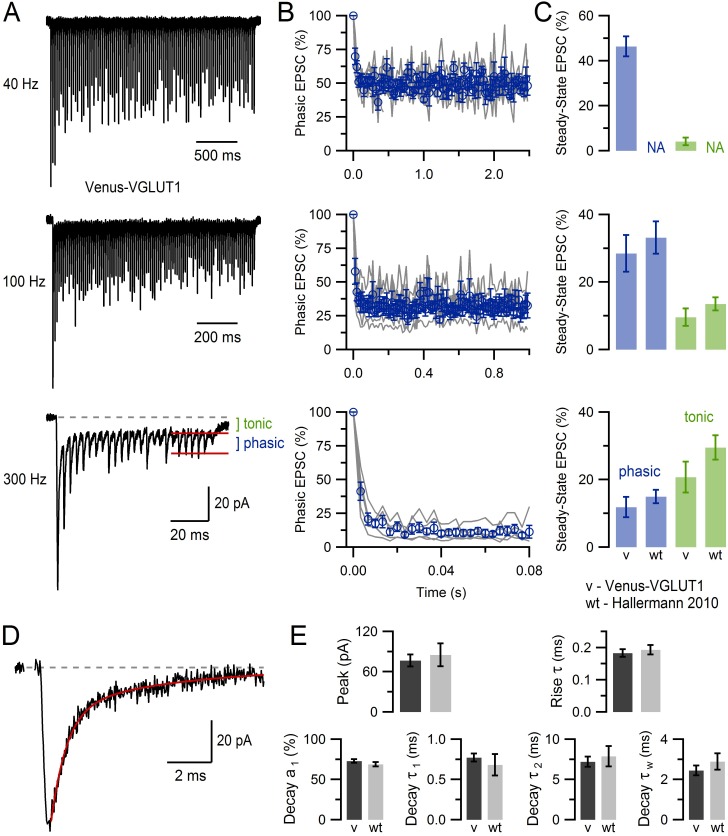 Figure 1—figure supplement 1.