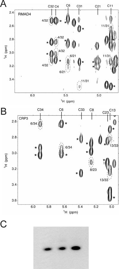 FIG. 8.