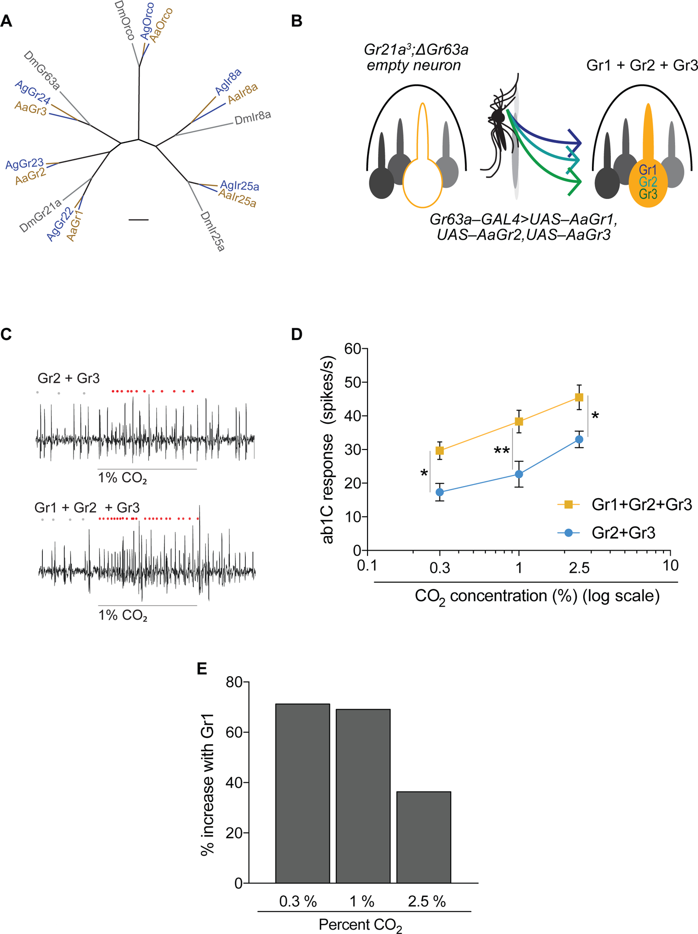 Figure 2.