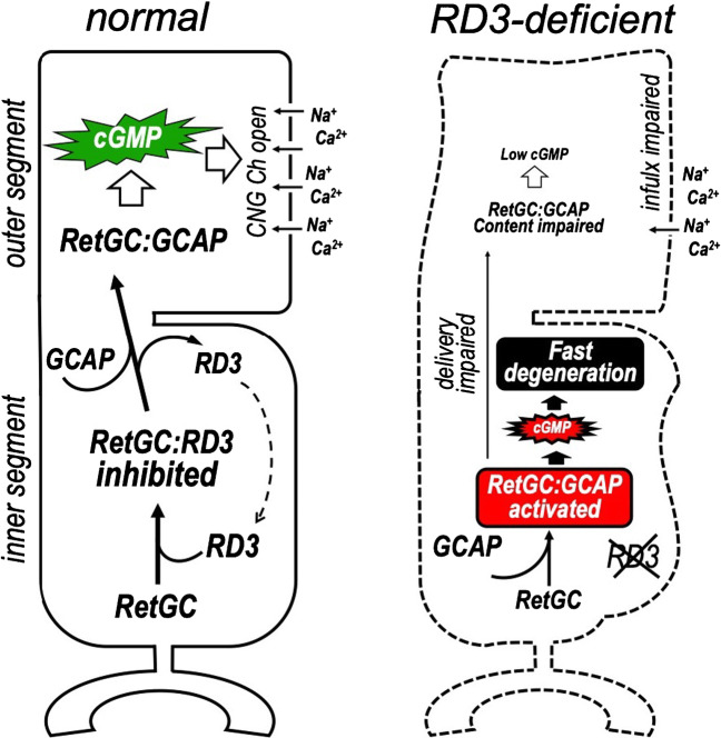 Fig. 8