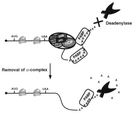 FIG. 7