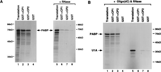 FIG. 6