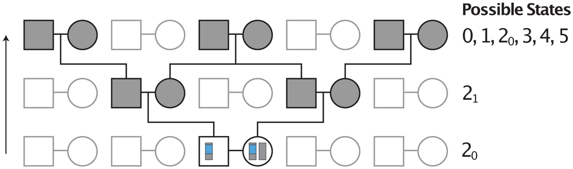 Figure 4: