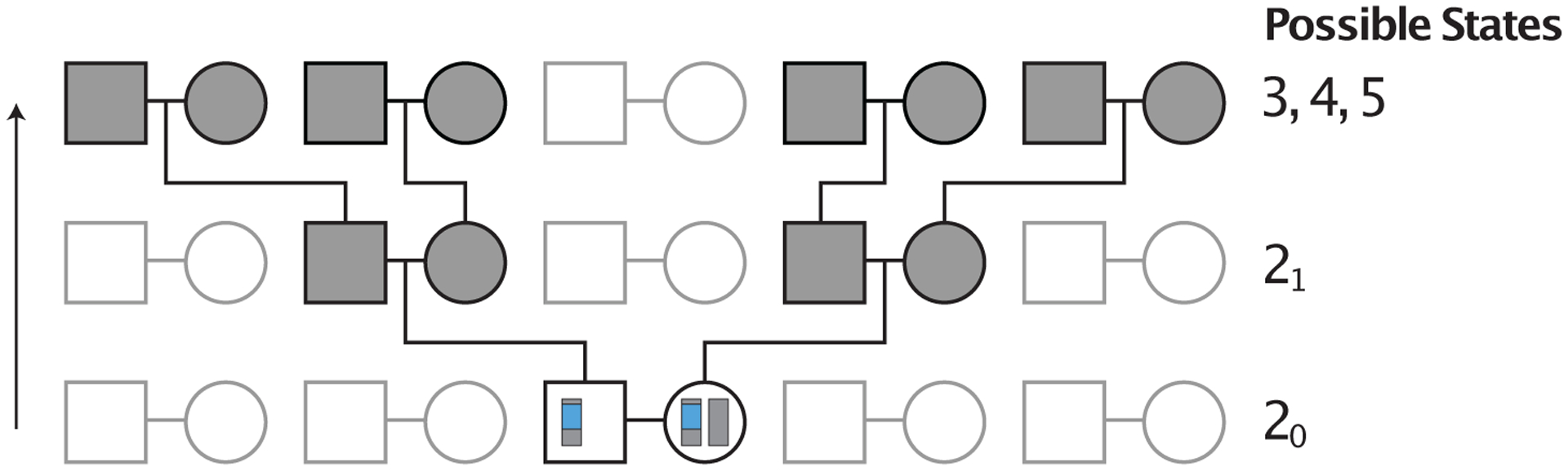 Figure 3: