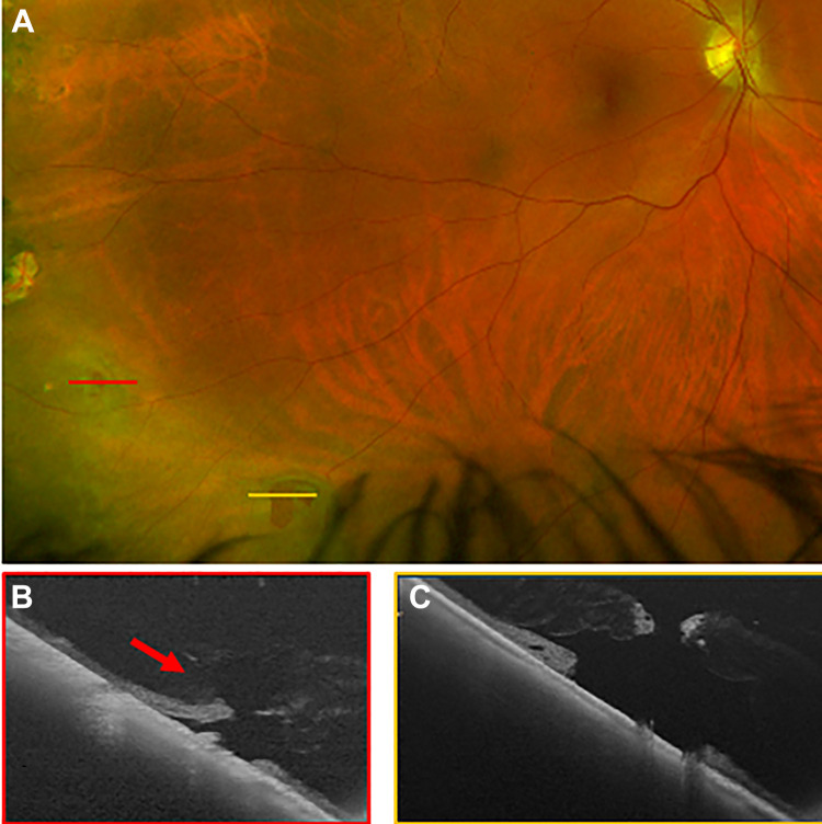 Figure 4.