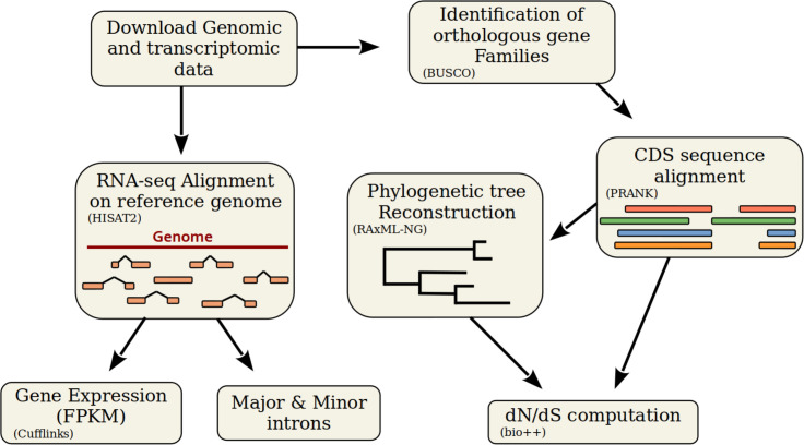 Figure 2—figure supplement 3.