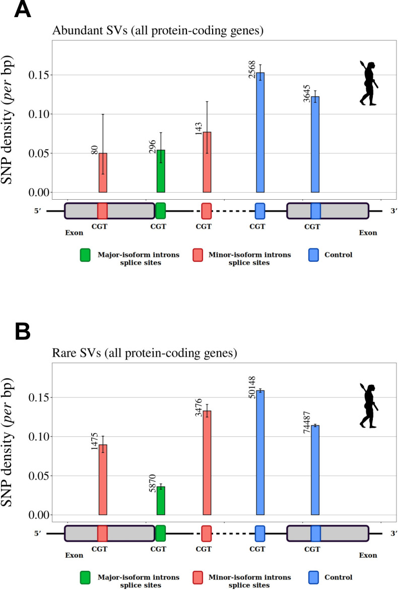 Figure 5—figure supplement 1.