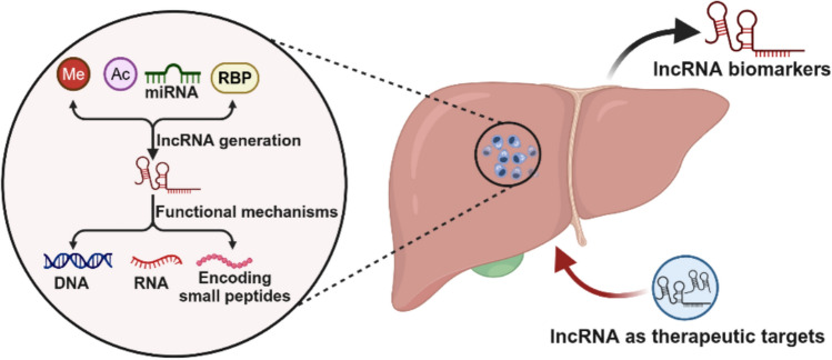 graphic file with name 10238_2025_1678_Figa_HTML.jpg