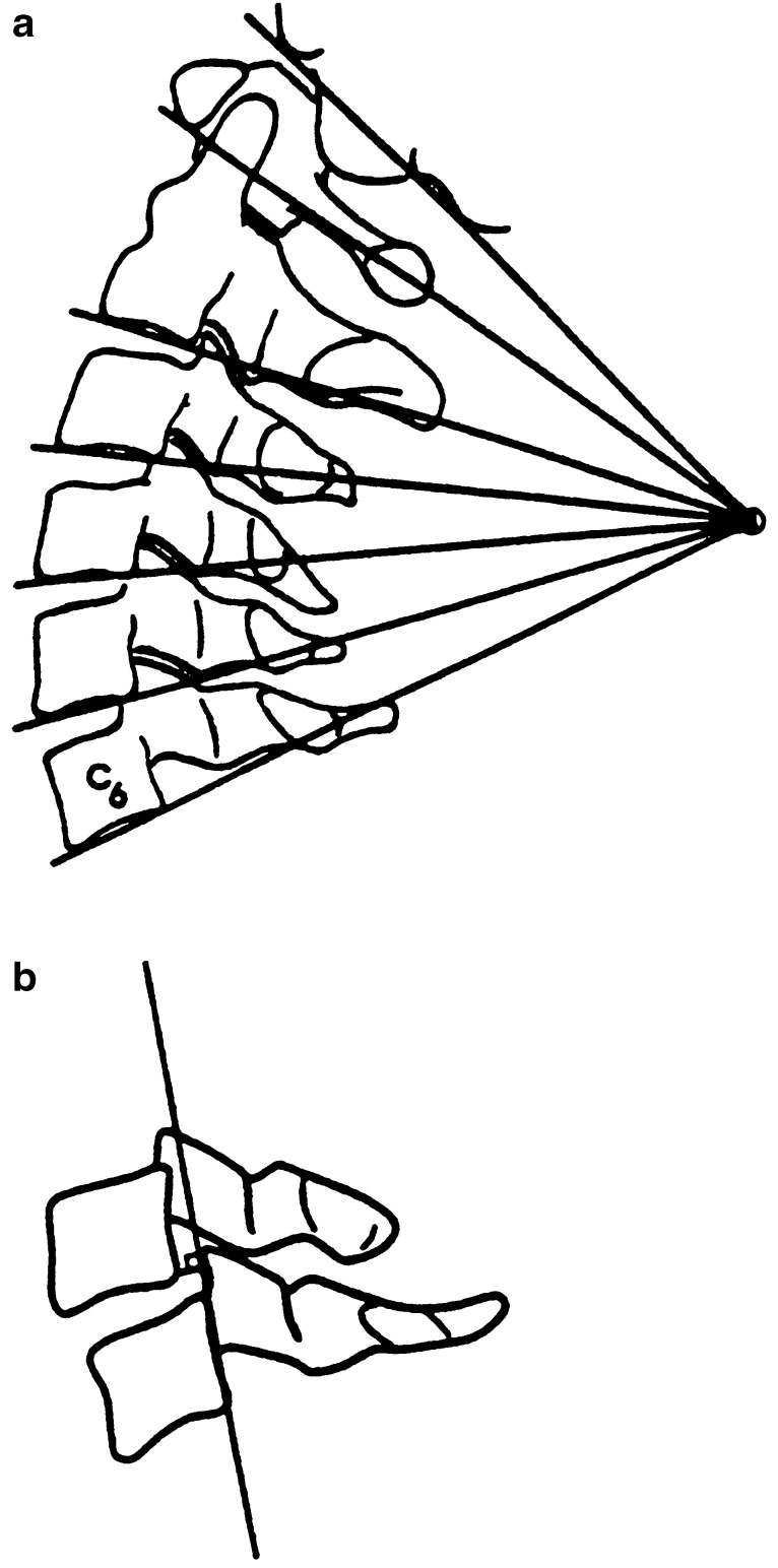 Fig. 1.