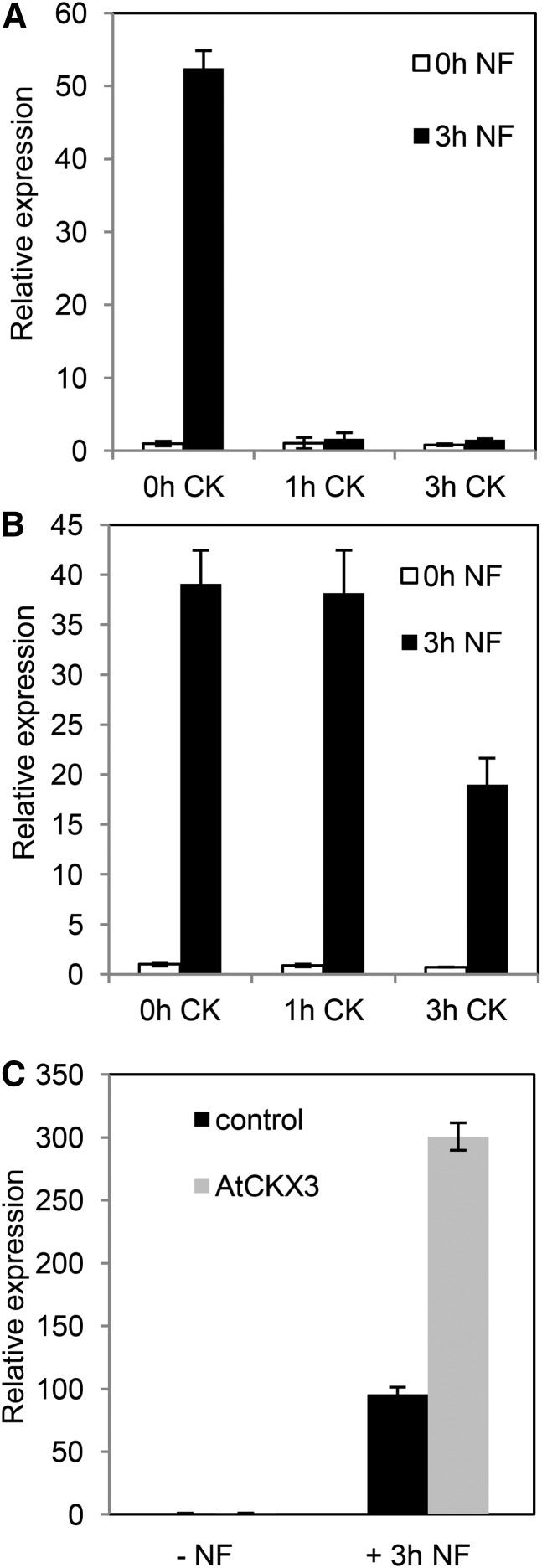 Figure 5.