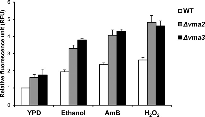 FIG 7