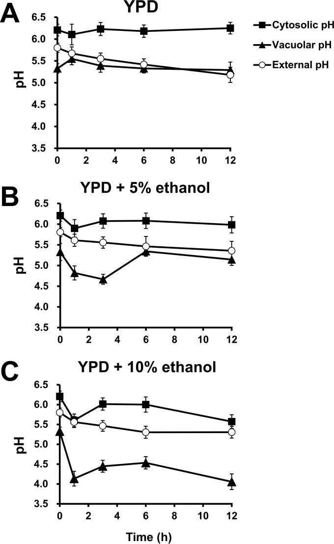 FIG 2