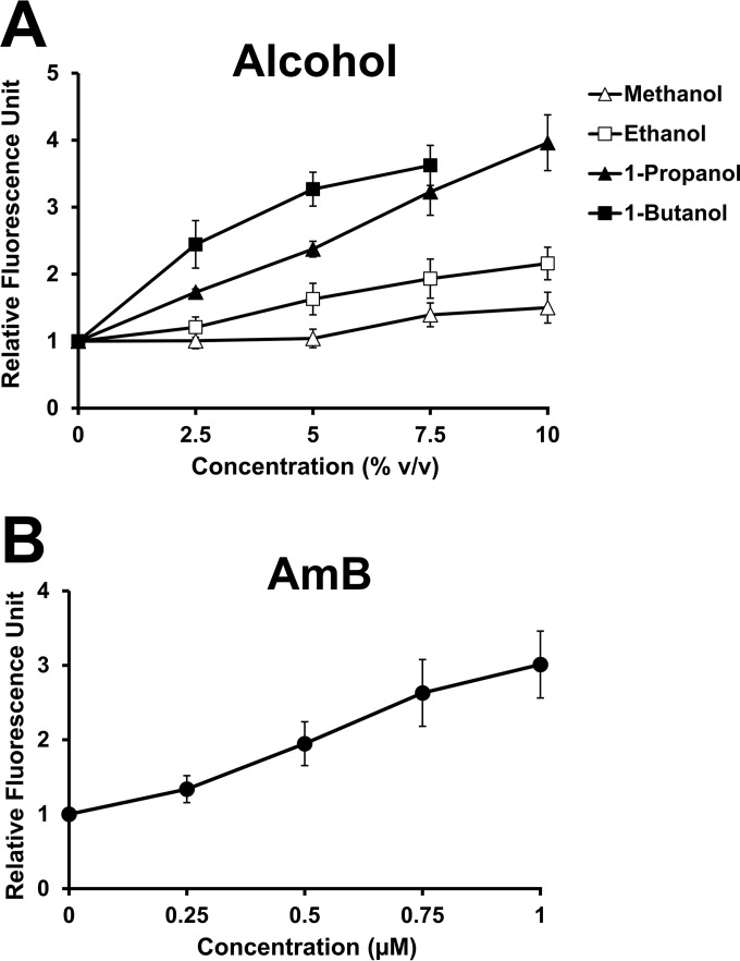 FIG 1