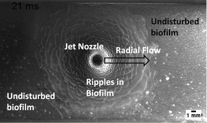 Fig. 4