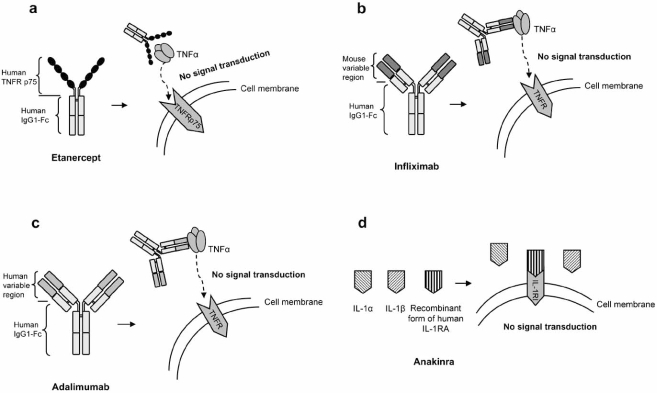 Fig. (2)