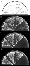 Figure 2.