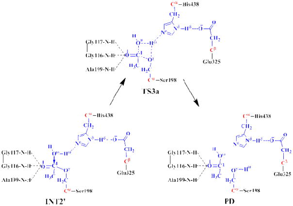 Scheme 3