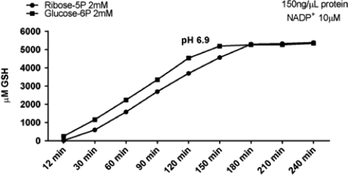 Fig. 10