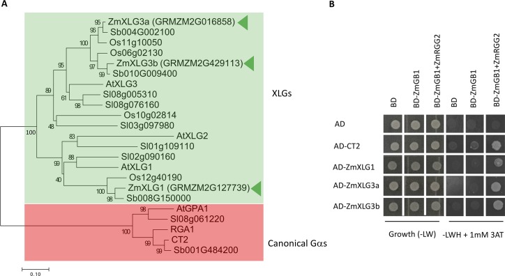 Fig 3