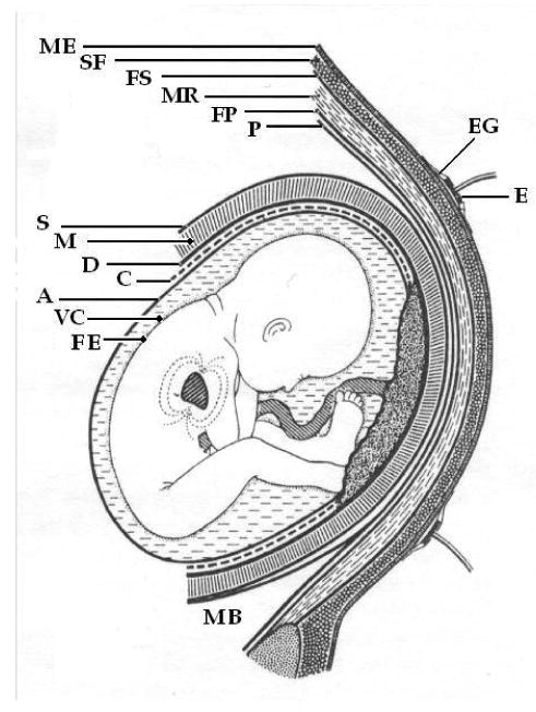 Figure 17