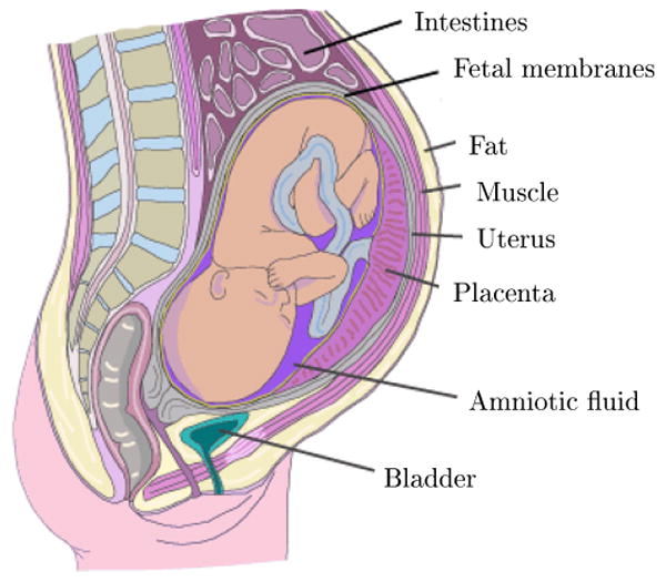 Figure 9