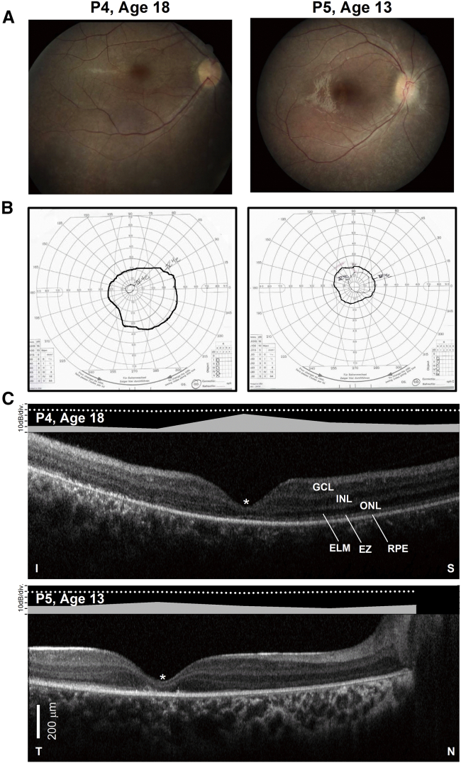 Figure 2