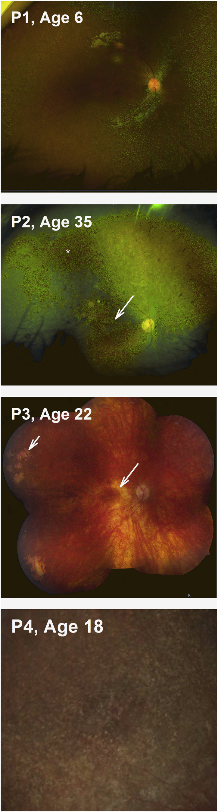 Figure 1