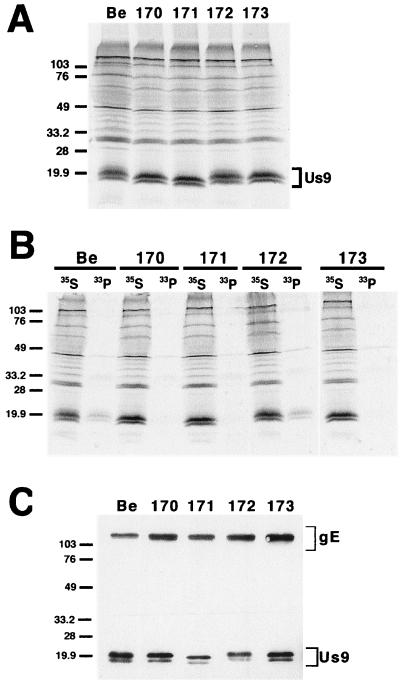 FIG. 5