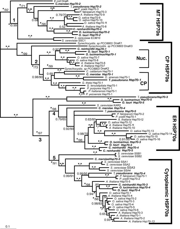 Fig 2.