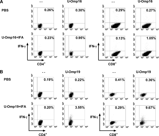 FIG. 4.