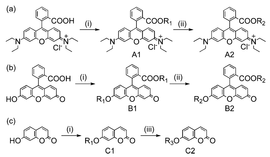 Scheme 1