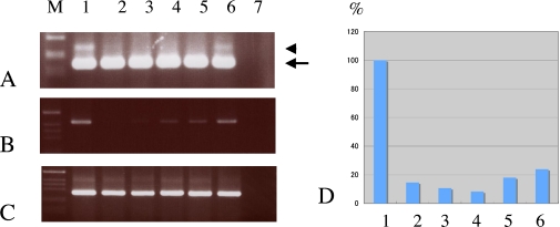 Fig. 3