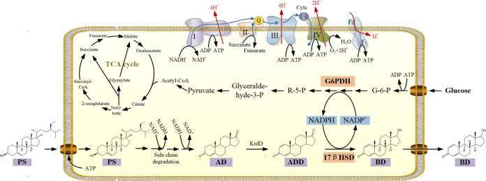 FIG 2