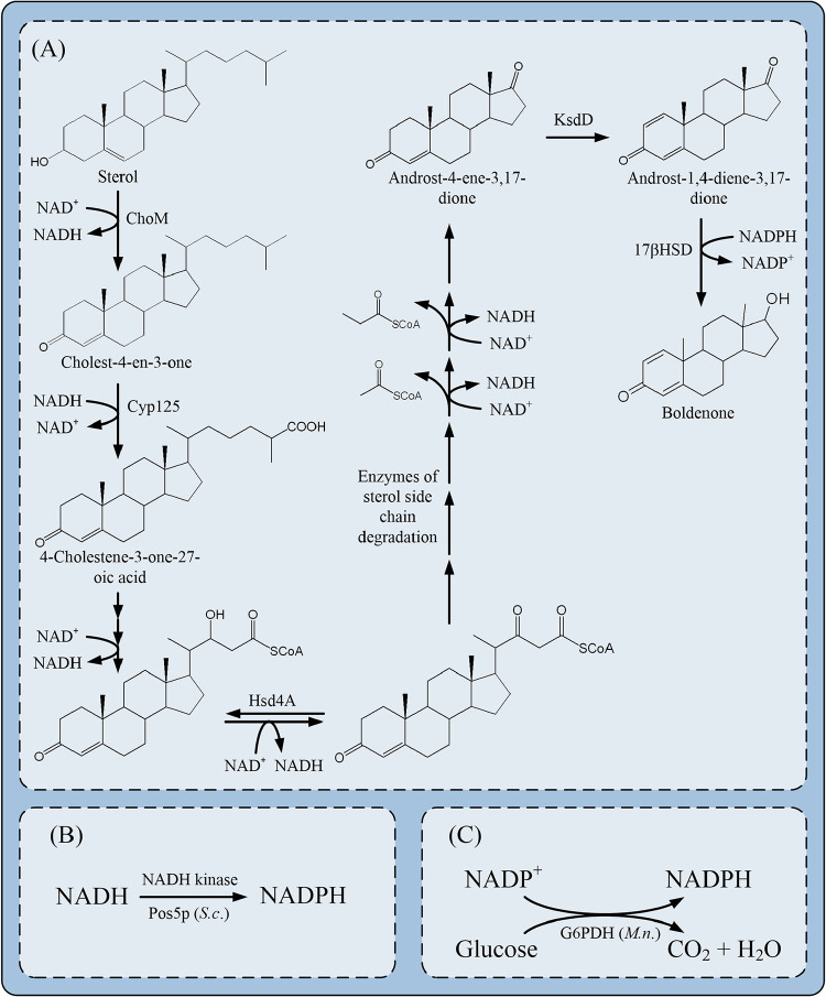 FIG 1