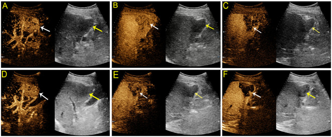 Figure 2