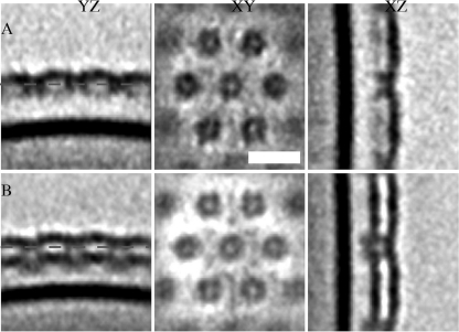 FIG. 5.