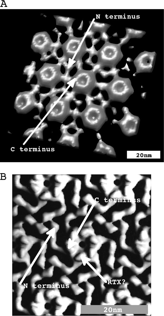 FIG. 9.