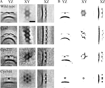 FIG. 8.