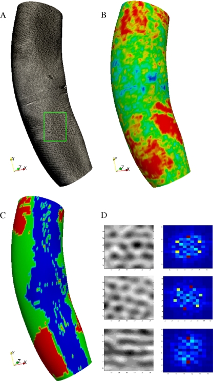 FIG. 2.