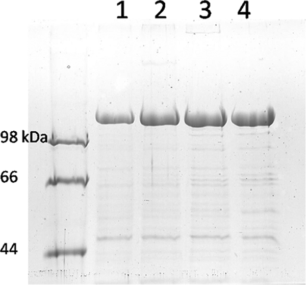 FIG. 7.